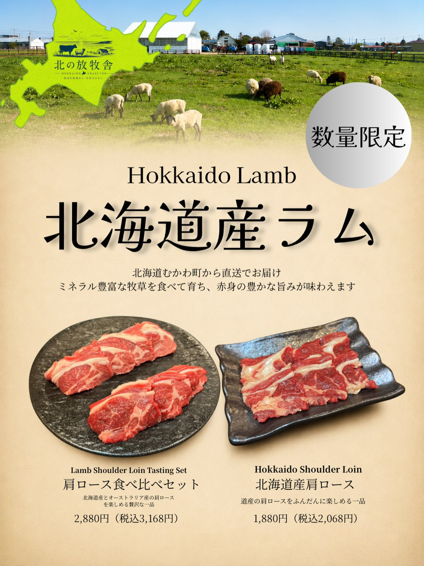 こんにちは！だるまおとしです！